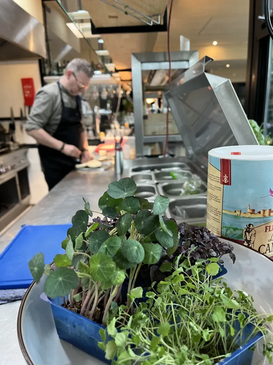 Onze Keuken: Puur & Zonder Poespas
